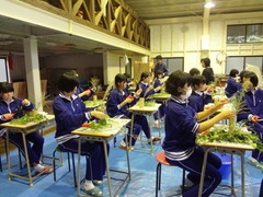 DSC06917.jpg